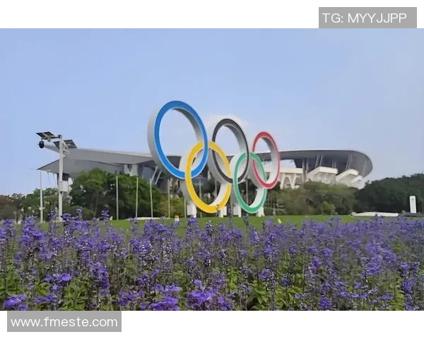 南京网球队耐力对比深度解析与训练策略探讨 南京网球队耐力对比深度解析与训练策略探讨