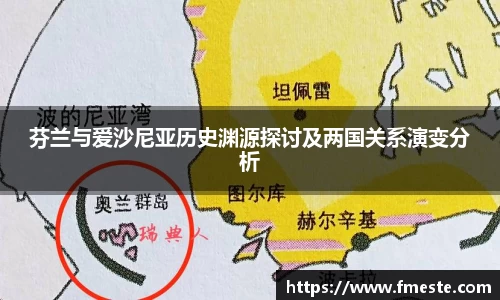 芬兰与爱沙尼亚历史渊源探讨及两国关系演变分析