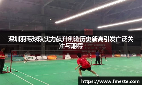 深圳羽毛球队实力飙升创造历史新高引发广泛关注与期待